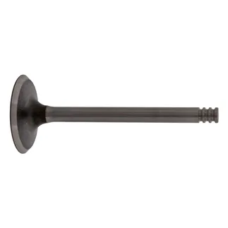 Febi Bilstein Engine Intake Valve - 038109601E